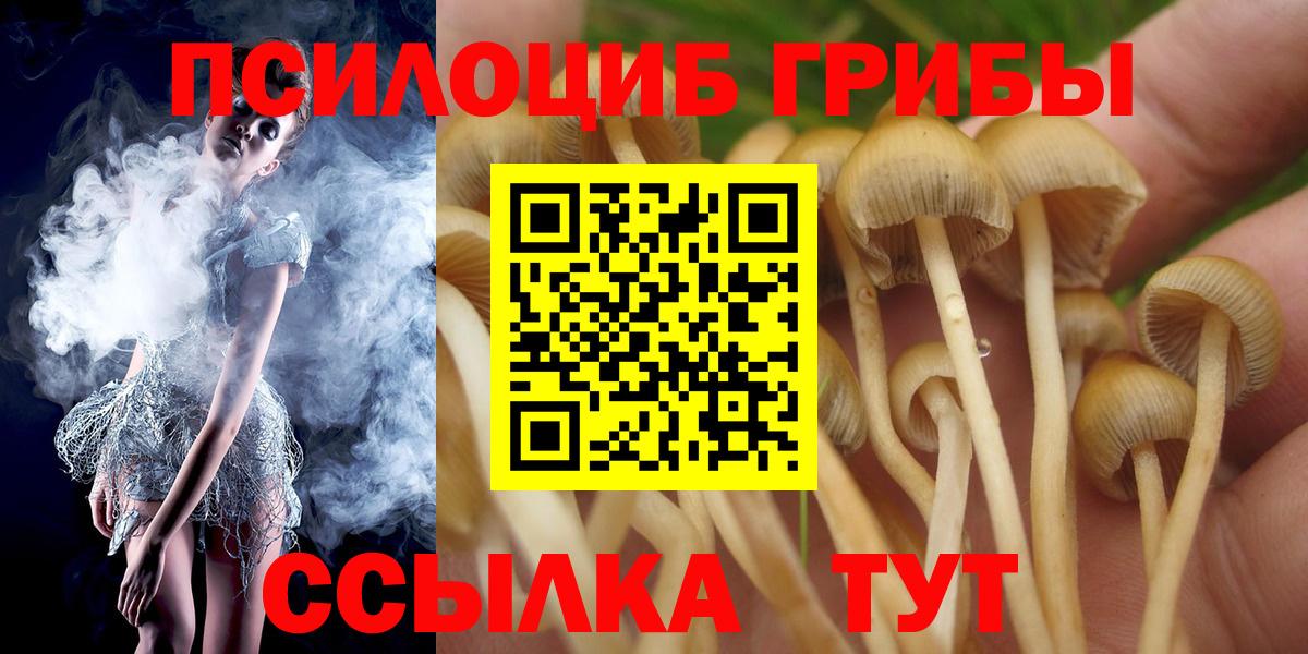 Тамбов  Галлюциногенные грибы Magic Shrooms  Галлюциногенные грибы мицелий  Вход с VPN 