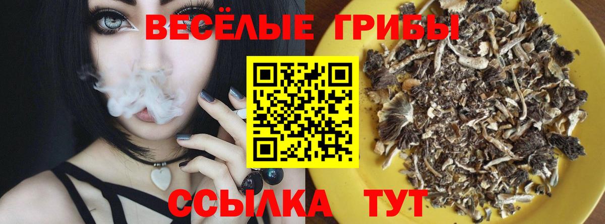 Псилоцибиновые грибы прущие грибы Тамбов